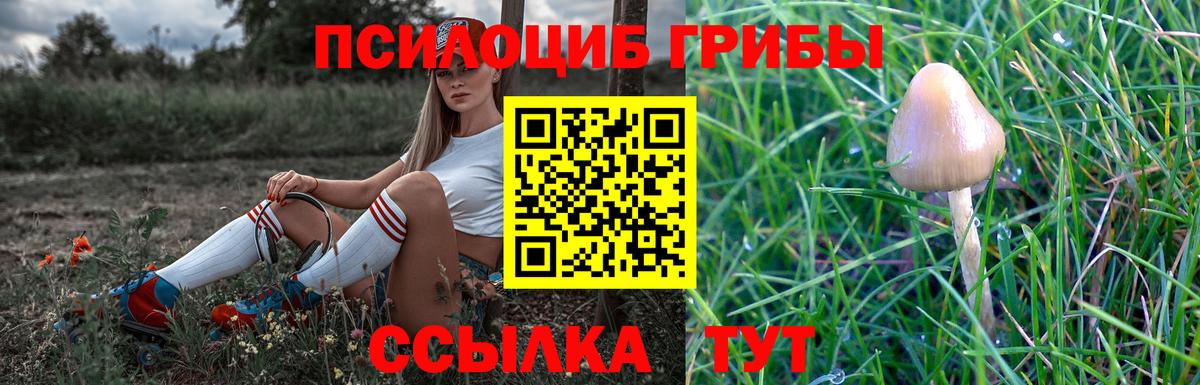 Галлюциногенные грибы Psilocybine cubensis  Вход с VPN  Галлюциногенные грибы мухоморы  Электросталь 
